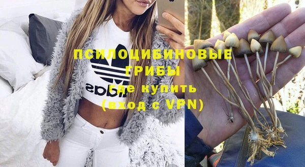 МДПВ Володарск