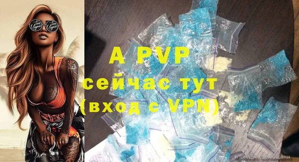молекула духа Волоколамск