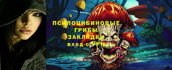 молекула духа Волоколамск