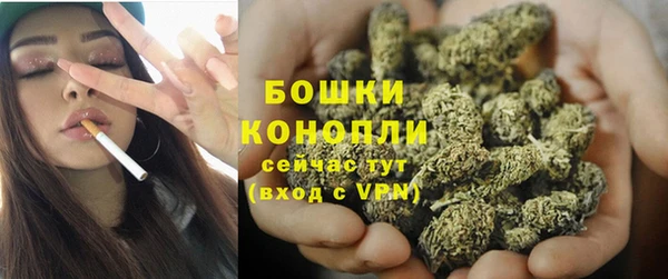 молекула духа Волоколамск