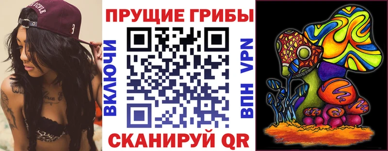 Псилоцибиновые грибы Psilocybe  KRAKEN ссылка  Горнозаводск 